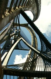 Roots in Rotterdam - scriptie