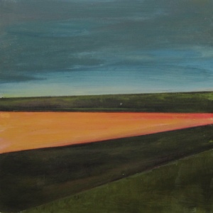2011 leeg landschap 2