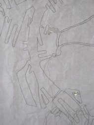 Roots in Rotterdam-3